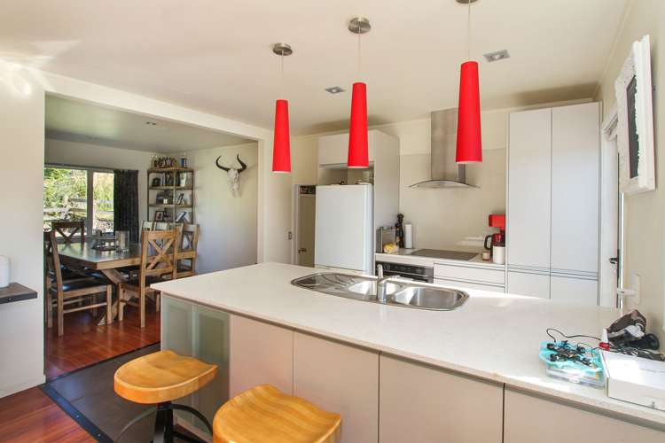 372 Horseshoe Bush Road Dairy Flat_14