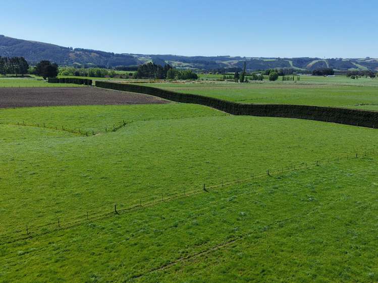 35 Maungatua Road Taieri Plain_15