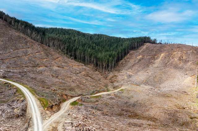 Lots 2-4, 14, 15, DP 9115 Motu Road Matawai_1