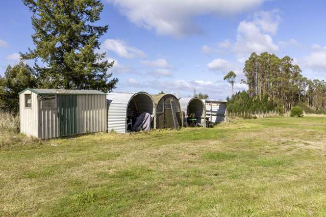 379 Otake Road Marotiri_4