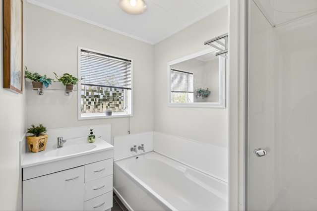 20 Norfolk Street Tamatea_2