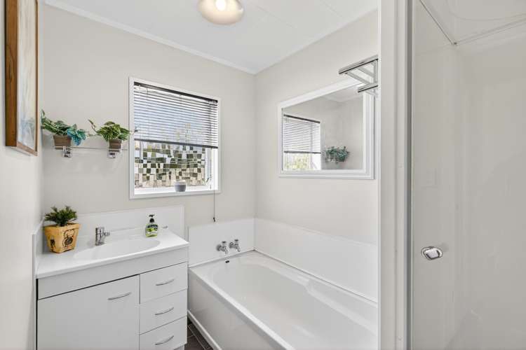 20 Norfolk Street Tamatea_2