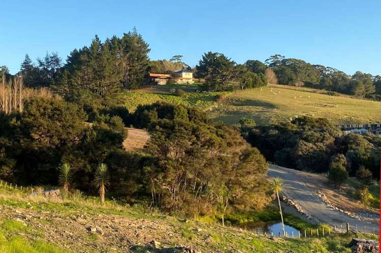 19 Elmore Road Paremoremo_12