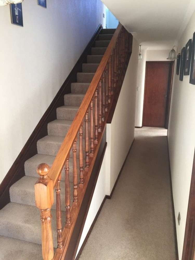 311 Opunake Road Cardiff_24