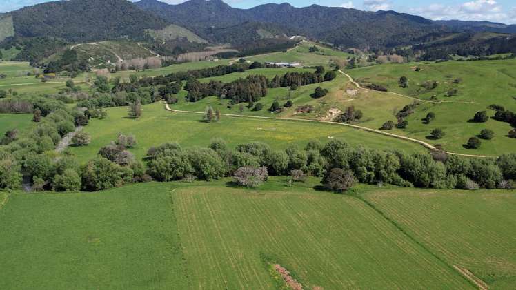 45 Jack Road Pakotai_2