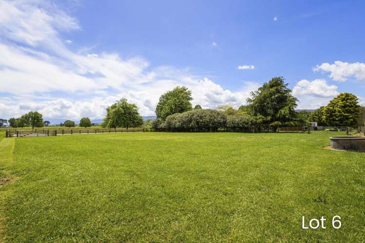 4 x Lots, Coates Lane Te Poi_11