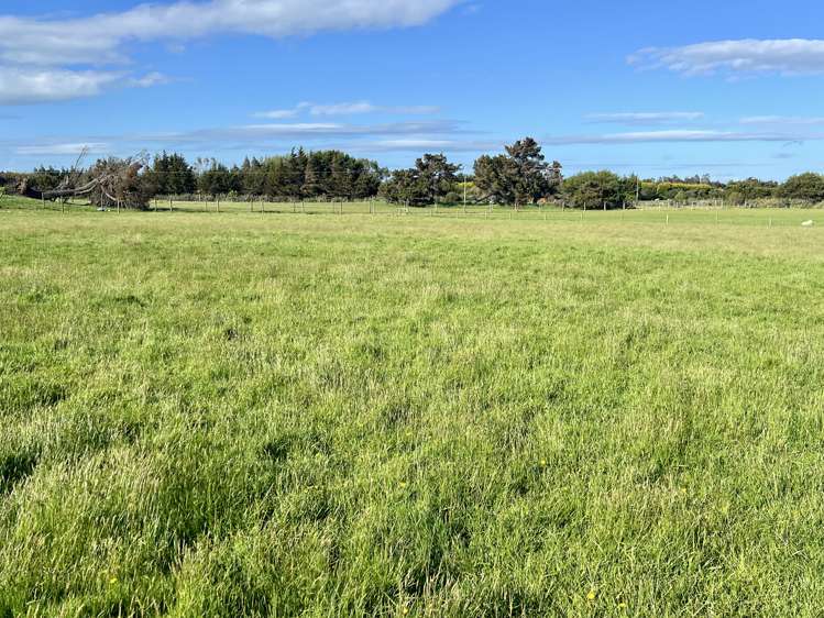 5 Ackers Road New River Ferry_18