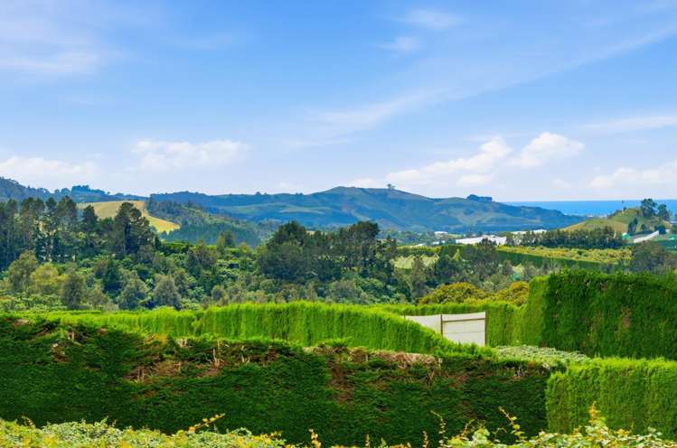 840 No 3 Road Te Puke_5