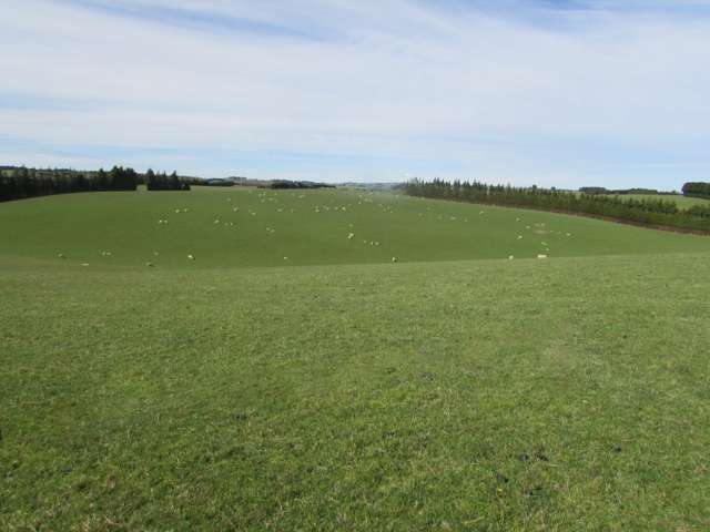 733 Koi Road Gore Surrounds_2