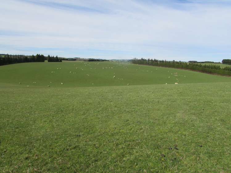 733 Koi Road Gore Surrounds_2