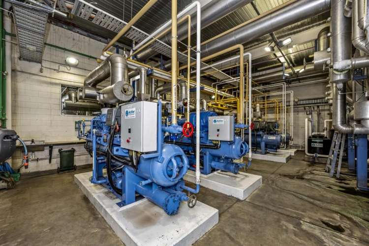 17 Nesdale Avenue Wiri_22