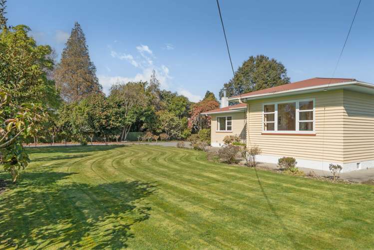 26 Jellicoe Street Greytown_22