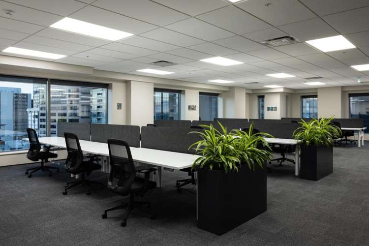 66 Wyndham Street City Centre_4