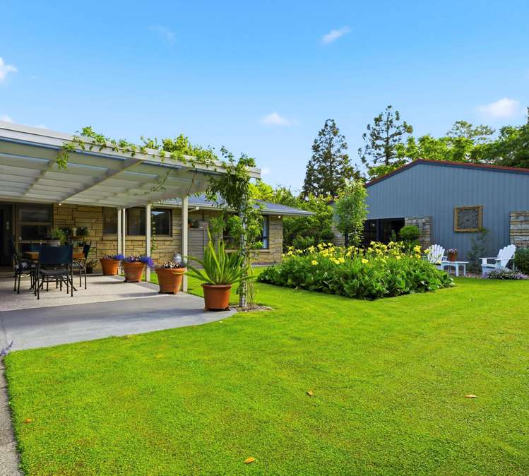 41 Walmsley Rd Waihi_1
