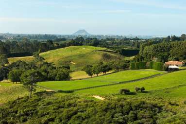 196C Pukemapu Road_2