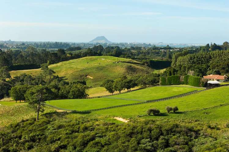 196C Pukemapu Road Oropi_2