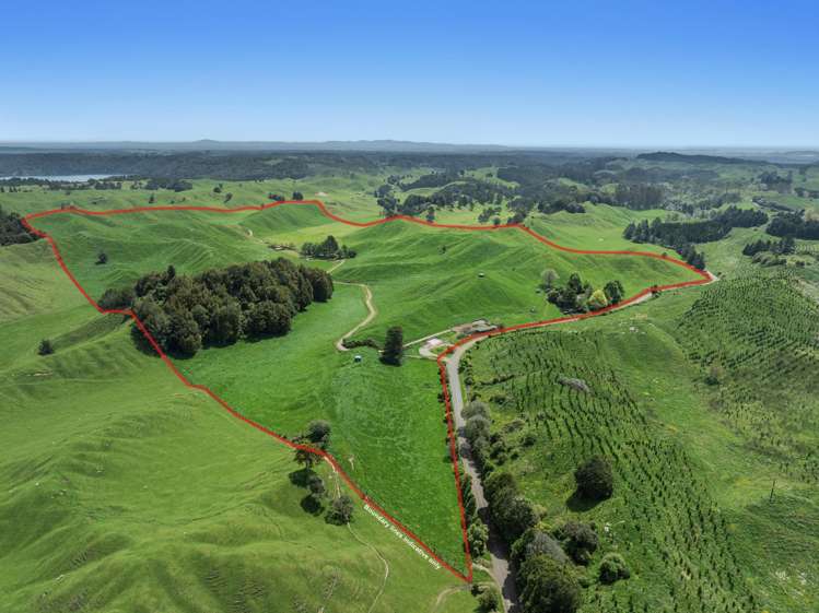 103 Rendall Road Rotoma_20