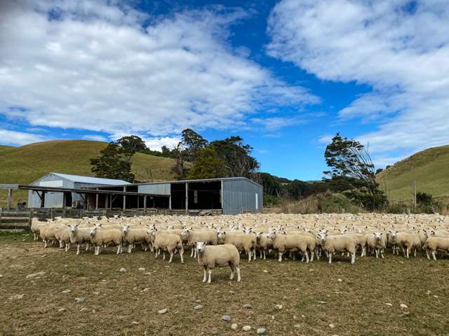 660 Happy Valley Road Tuatapere_4