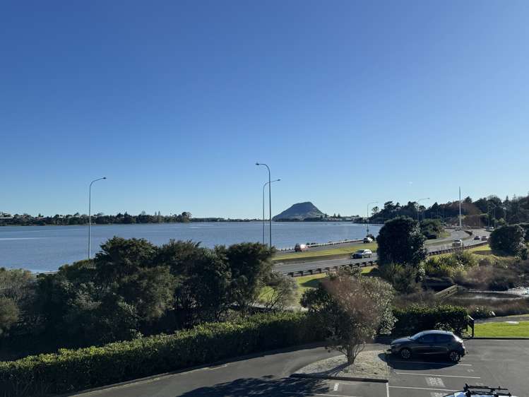 144 Third Ave Tauranga Central_5