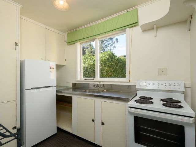 58c Norway Street Aro Valley_3