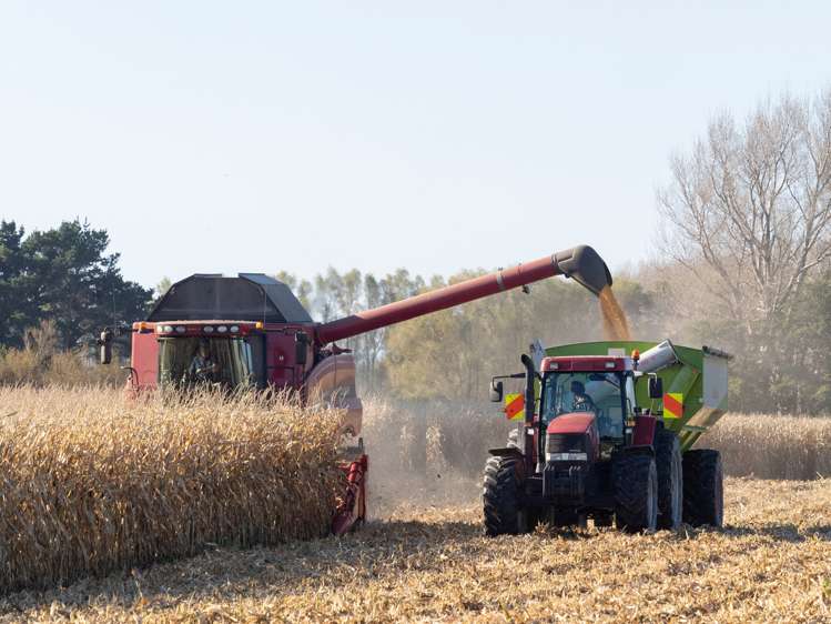 420a Kahutara Road Kahutara_10