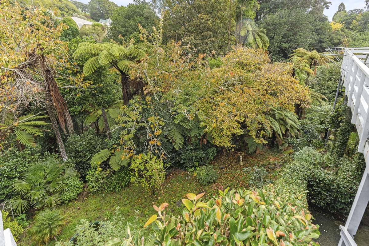 28 Carrington Street_2