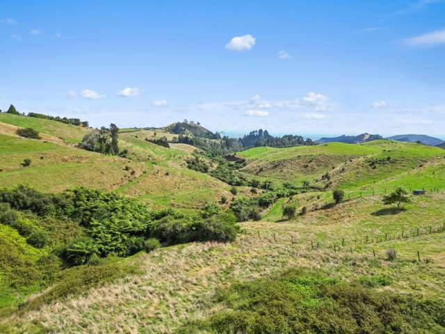 405F Rowe Road Ohauiti_3