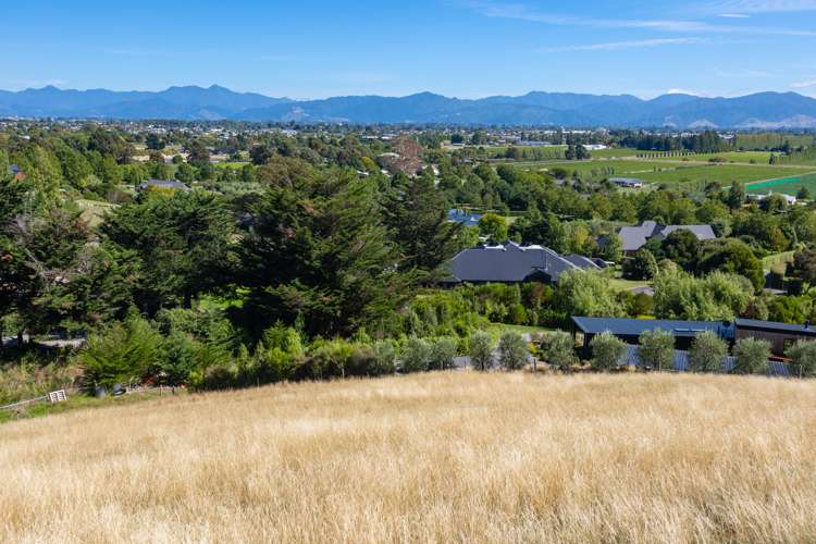 166 Dry Hills Lane Riverlands_12