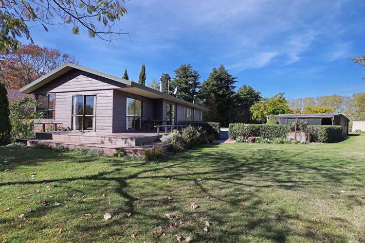 57 David Street Hinds_29