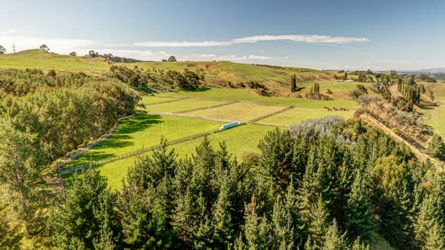 263b Horahora Road Hauraki Surrounds_2