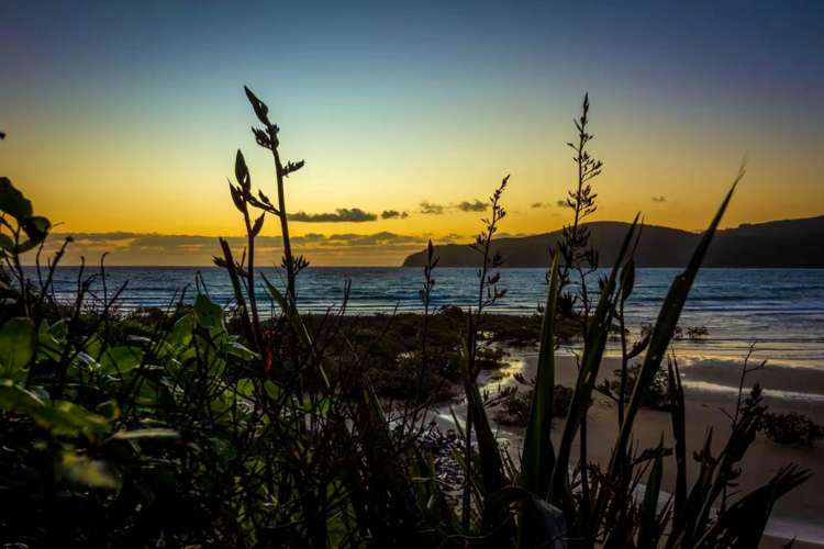 403 Shoal Bay Road Great Barrier Island_21