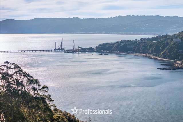 Lot Lot 1/69 Waitohu Road York Bay, Eastbourne_3