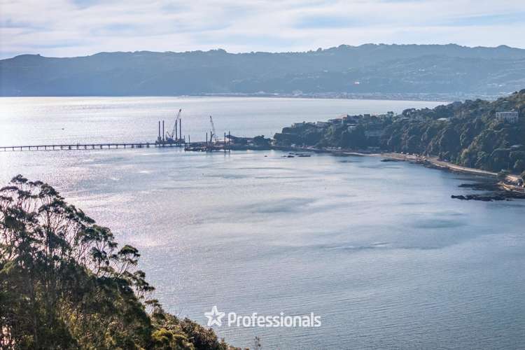 Lot Lot 1/69 Waitohu Road_3