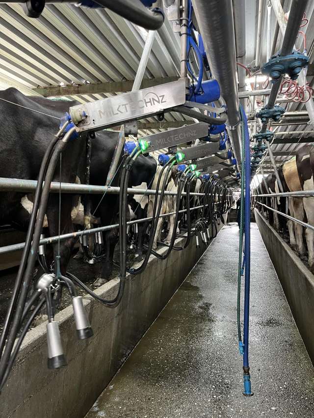 28 Stopbank Road Kowhitirangi_4