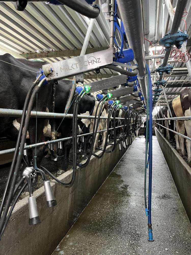 28 Stopbank Road Kowhitirangi_4