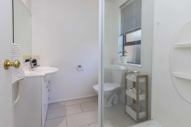 18a Seddon Street Sydenham_13