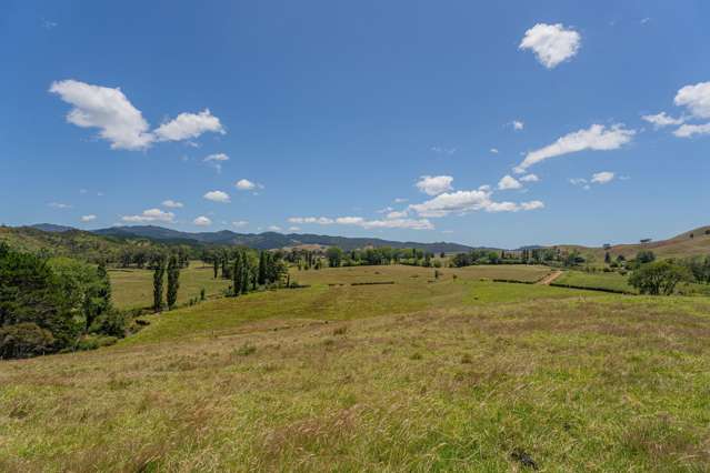 106 State Highway 25 Otapaurau_3