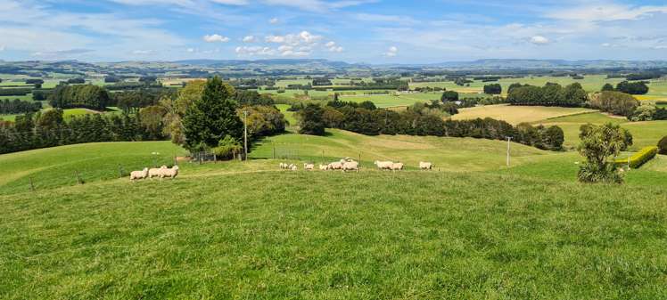 286 Brydone Glencoe Road Gore Surrounds_13