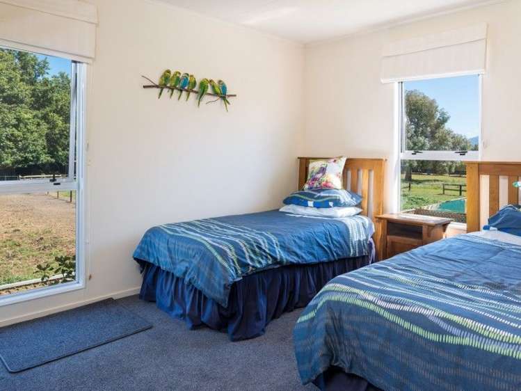 49b Colemans Road Springlands_11