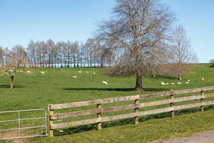 97 Herbert Road Morrinsville_39