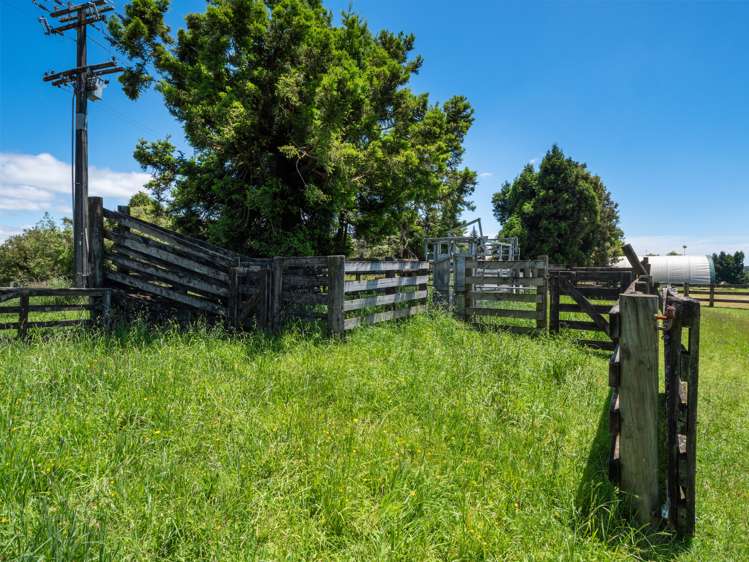 857 Mclaren Falls Road Kaimai_32