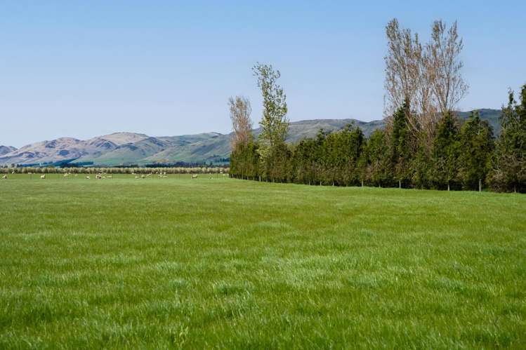 130 Warr Road Balfour_15