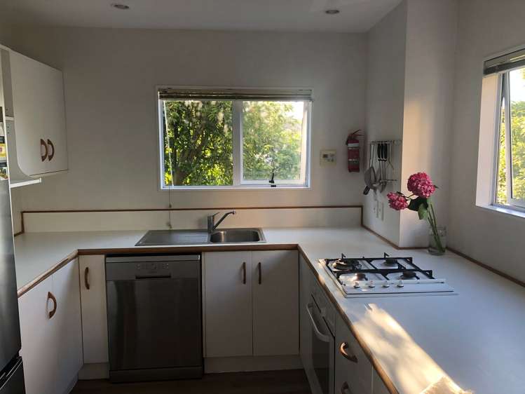 145b Wallace Street Mount Cook_5