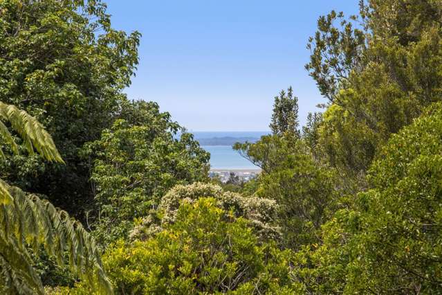 410A Busby Road Katikati_3