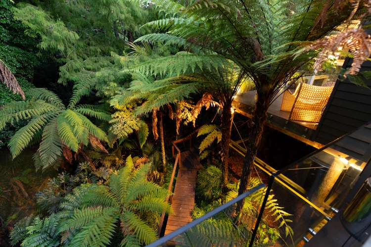 14a Macdiarmid Road Beerescourt_19