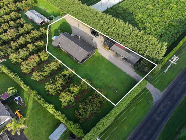 329 Snodgrass Road Te Puna_1
