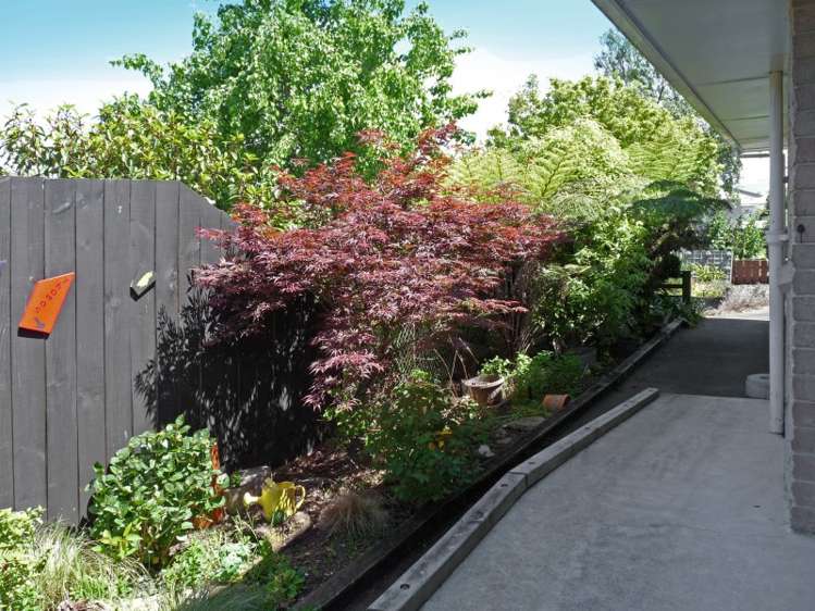 12 Reeves Street Stoke_18