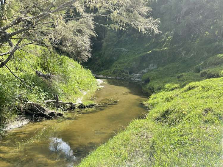 851 Awamate Road Frasertown_24