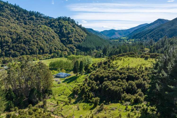 1025 Wakamarina Road Havelock_7