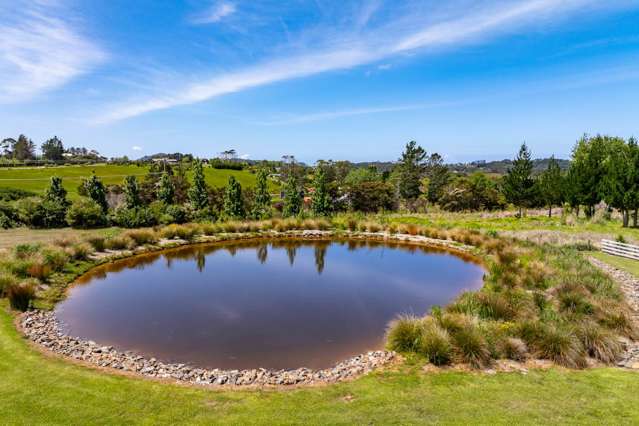 23 Pine Valley Glade Mangawhai_3